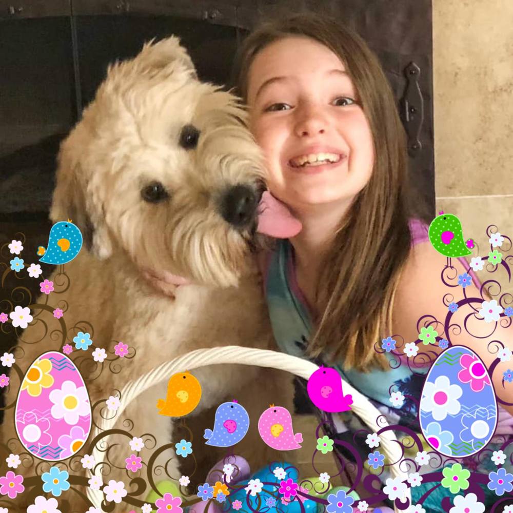 Meet your Posher, Nancy